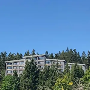Panorama Bayerwald Neureichenau